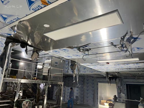 食品加工行業(yè)萬級(jí)無塵無菌凈化與安防工程一體化設(shè)計(jì)與施工